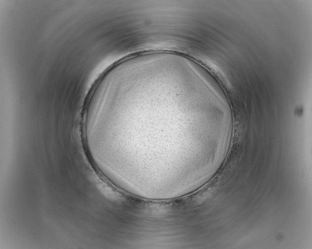 X0000091001086200708161933