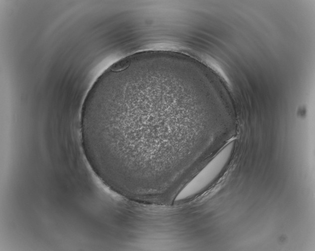 X0000091001087200708161933
