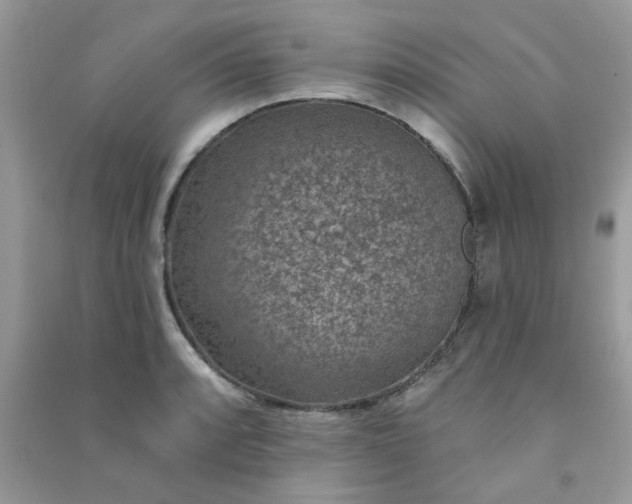 X0000091001088200708161933