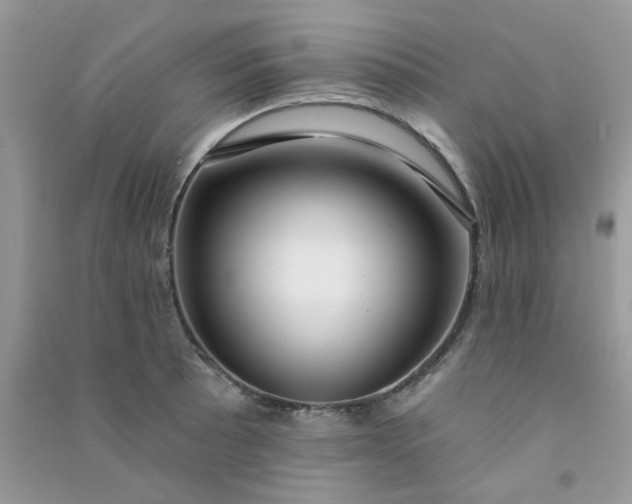 X0000091001089200708161933