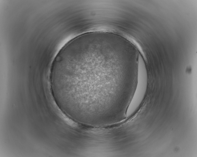 X0000091001091200708161933