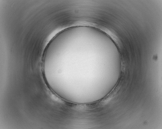 X0000091001094200708161933