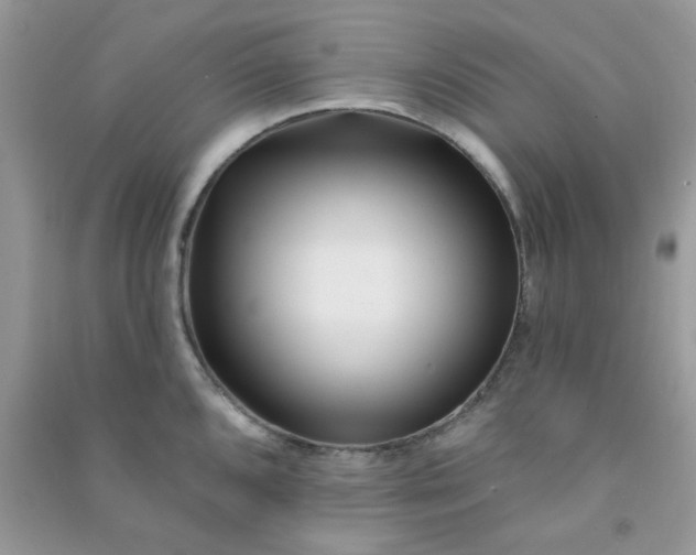 X0000091001096200708161933