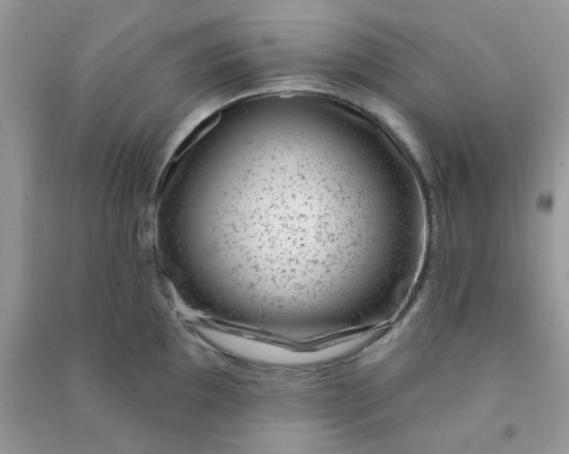 X0000091001097200708161933