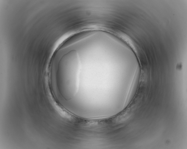 X0000091001098200708161933