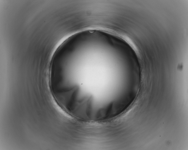 X0000091001100200708161933