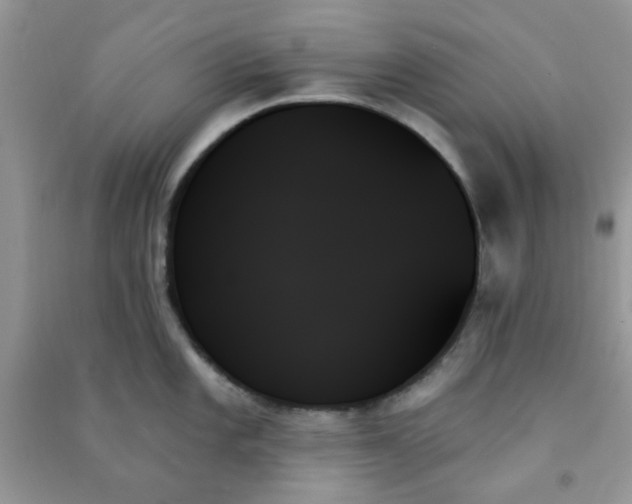X0000091001101200708161933
