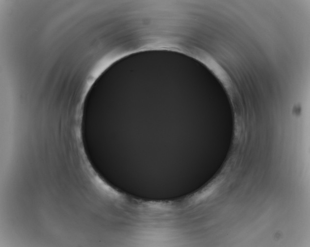 X0000091001102200708161933
