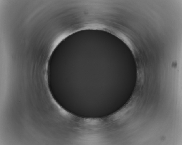 X0000091001103200708161933