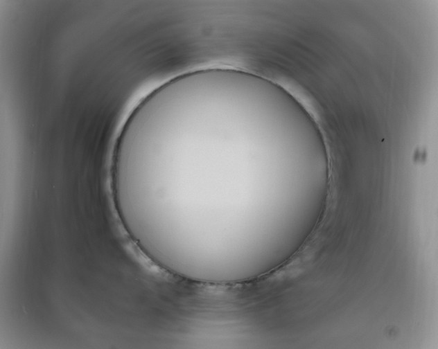 X0000091001104200708161933