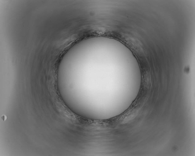 X0000091001105200708161932