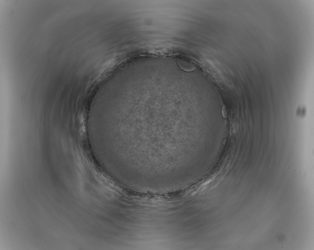 X0000091001106200708161932