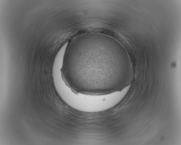 X0000091001108200708161932