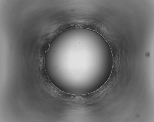 X0000091001109200708161932