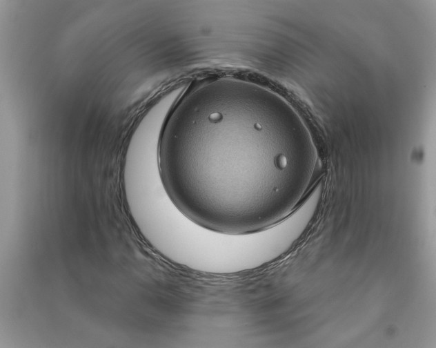 X0000091001110200708161932