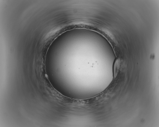 X0000091001111200708161932