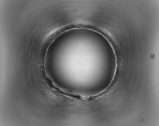 X0000091001112200708161932