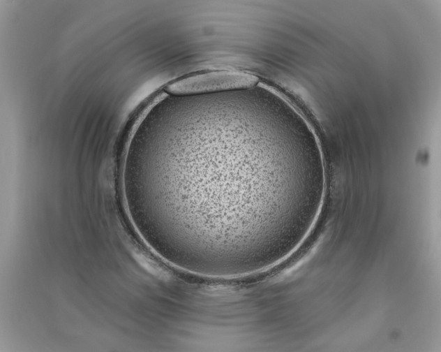 X0000091001114200708161932