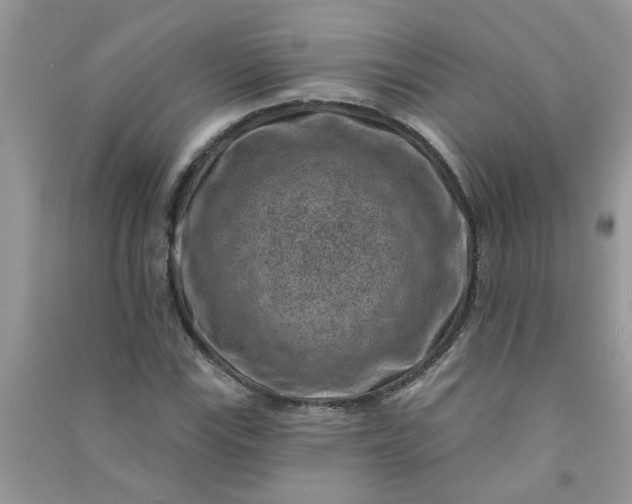 X0000091001115200708161932