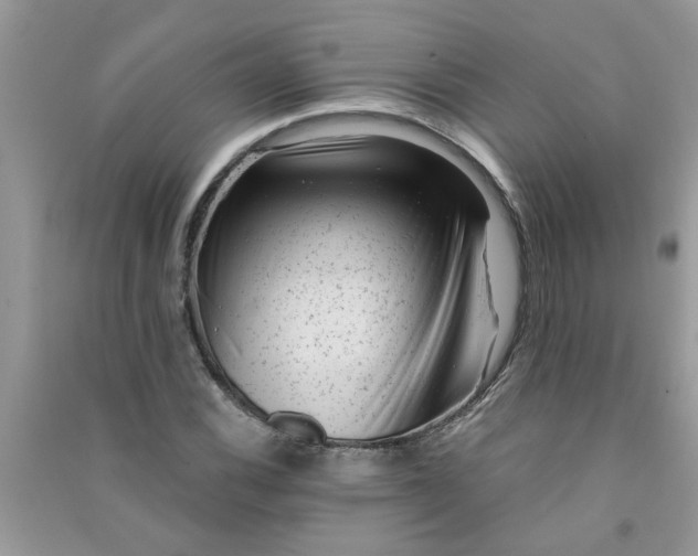 X0000091001116200708161932