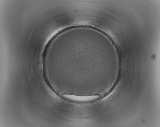 X0000091001118200708161932