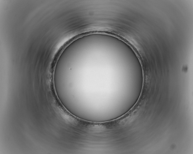 X0000091001119200708161932