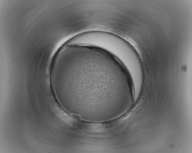 X0000091001120200708161932