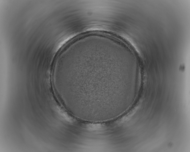 X0000091001121200708161932