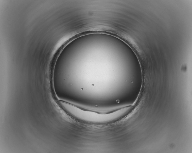 X0000091001122200708161932