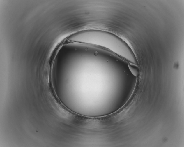 X0000091001123200708161932