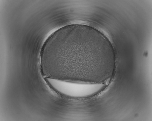 X0000091001125200708161932