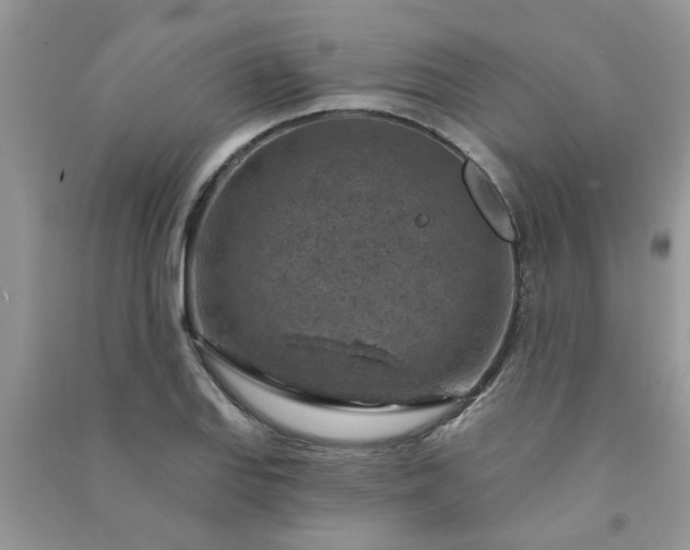 X0000091001127200708161932