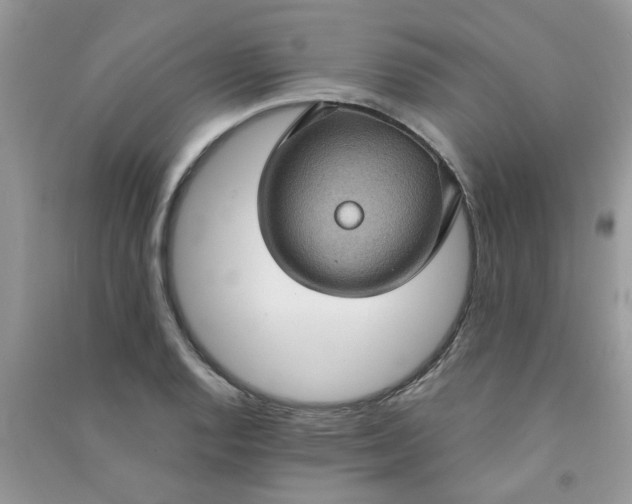 X0000091001128200708161932