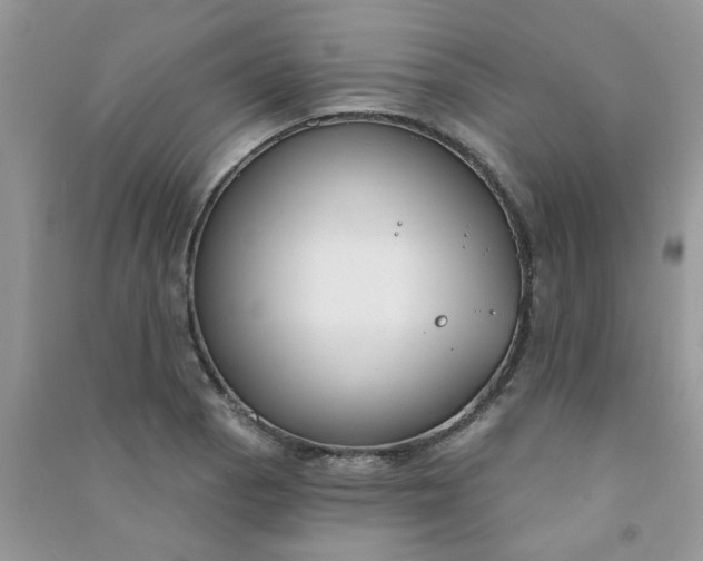 X0000091001129200708161932