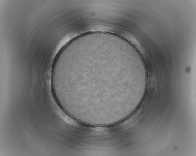 X0000091001130200708161932