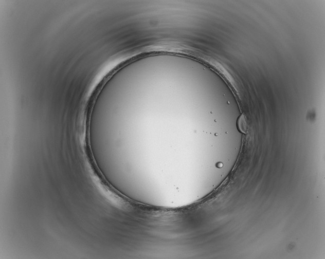 X0000091001131200708161932