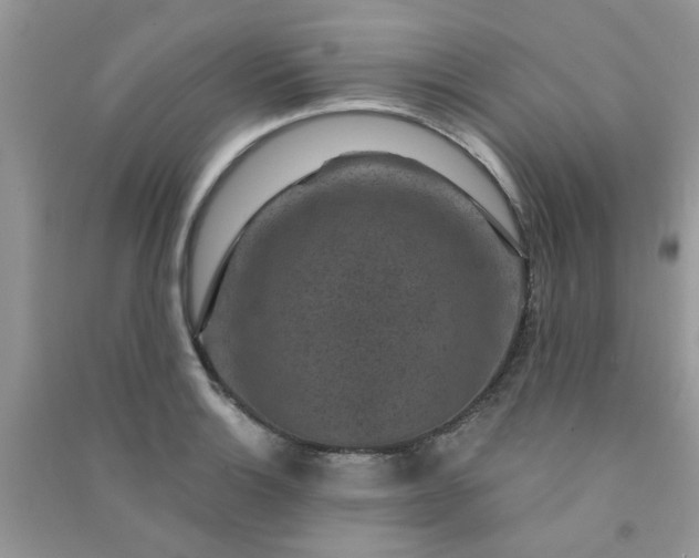 X0000091001132200708161932