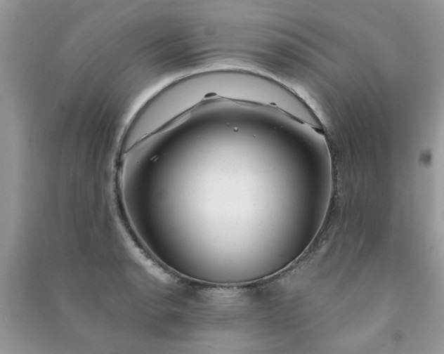X0000091001134200708161933