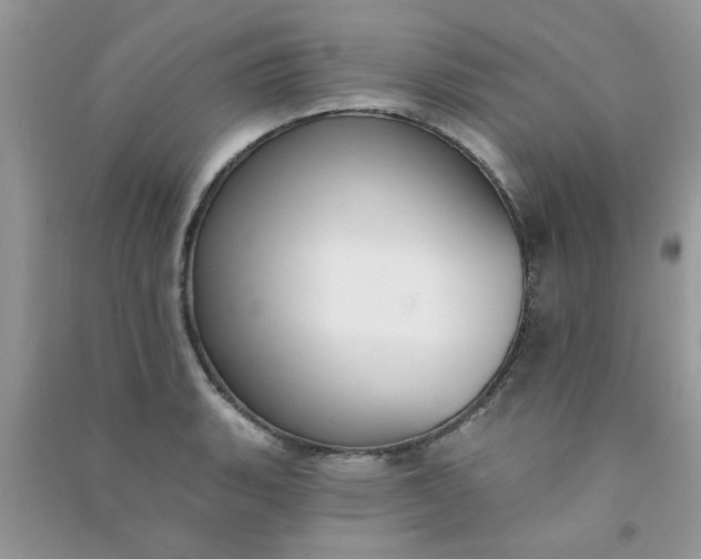 X0000091001135200708161933