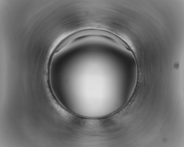 X0000091001136200708161933