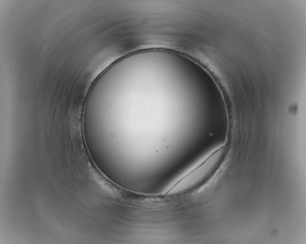 X0000091001137200708161933