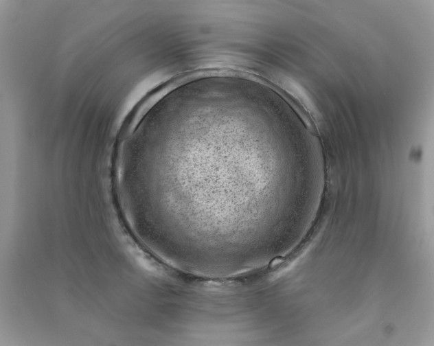 X0000091001138200708161933