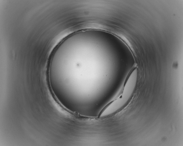 X0000091001139200708161933