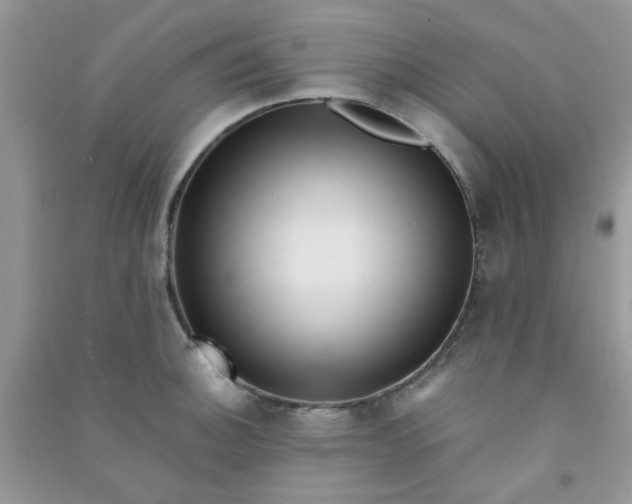 X0000091001140200708161933