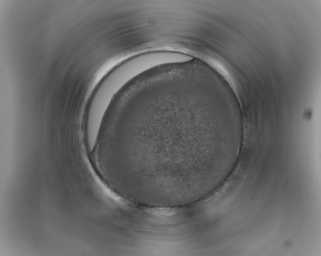 X0000091001141200708161933