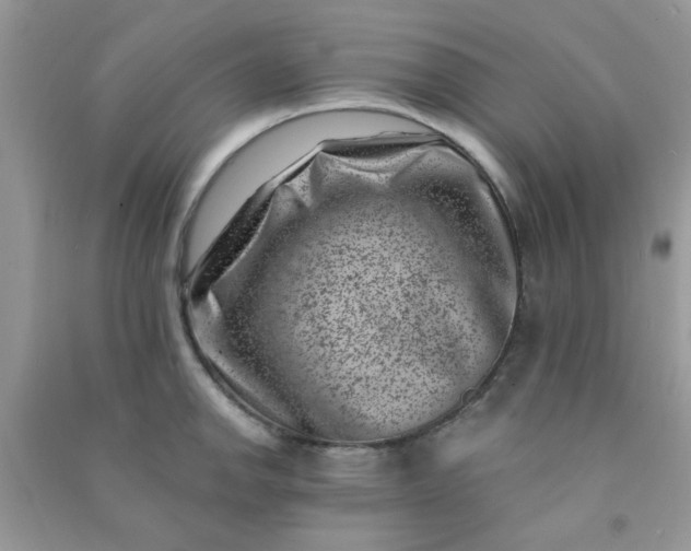X0000091001142200708161933