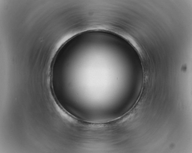 X0000091001143200708161933