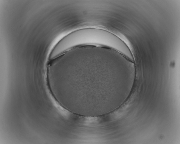 X0000091001144200708161933