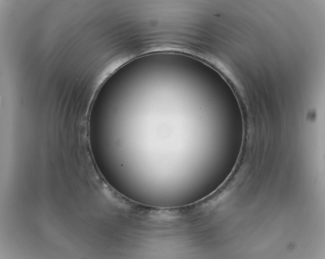 X0000091001145200708161933