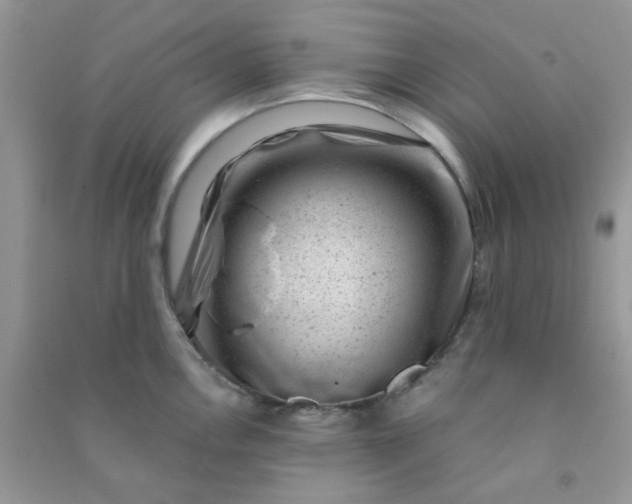 X0000091001146200708161933